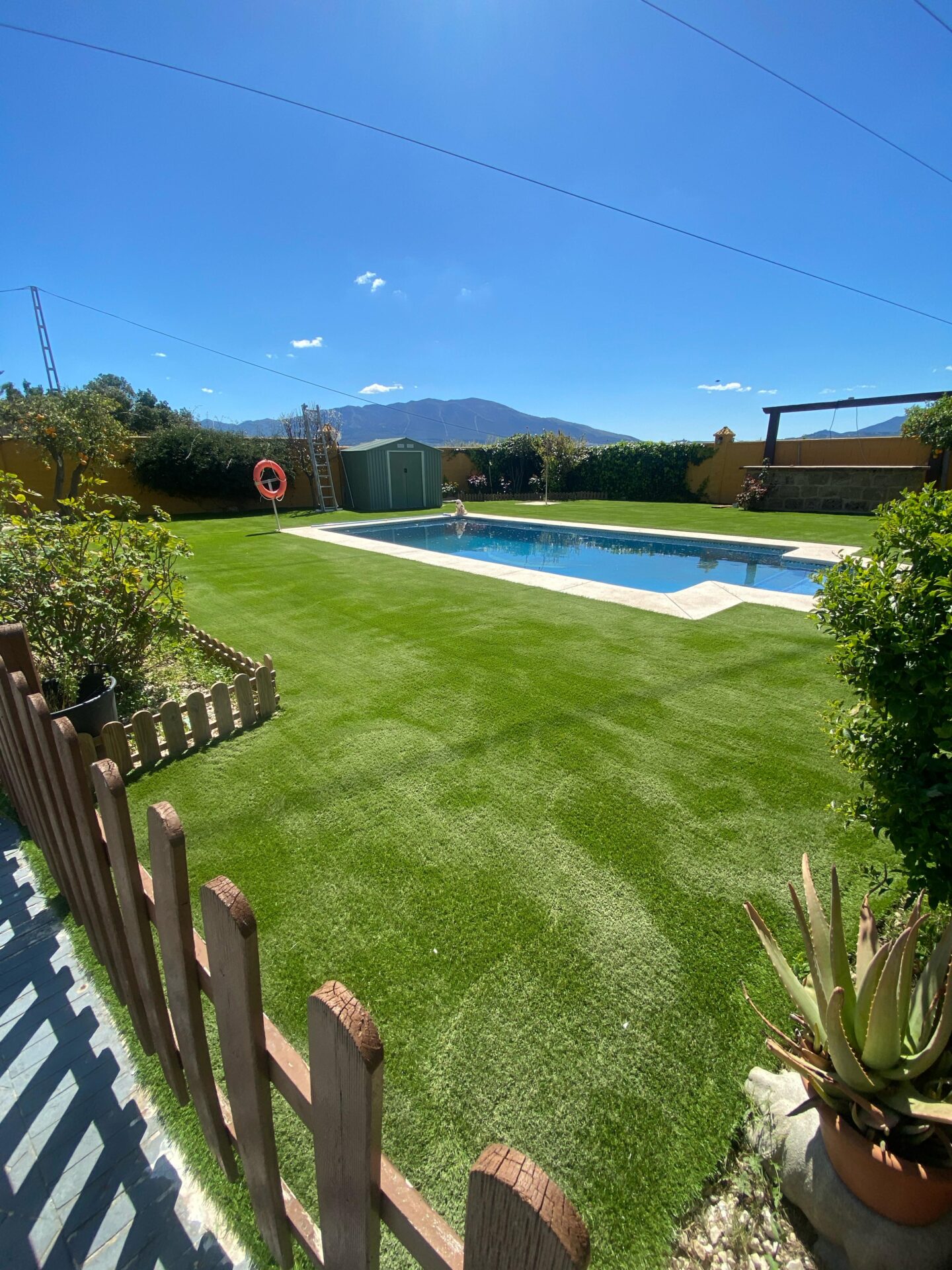 piegallina1dsp scaled