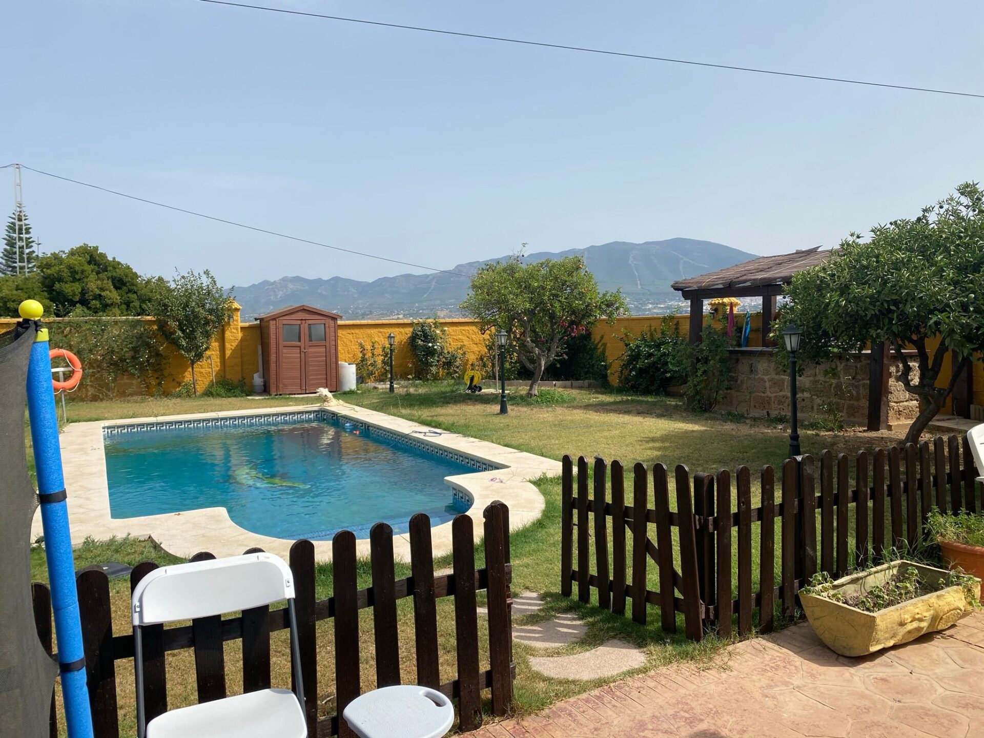 piegallinaantes scaled